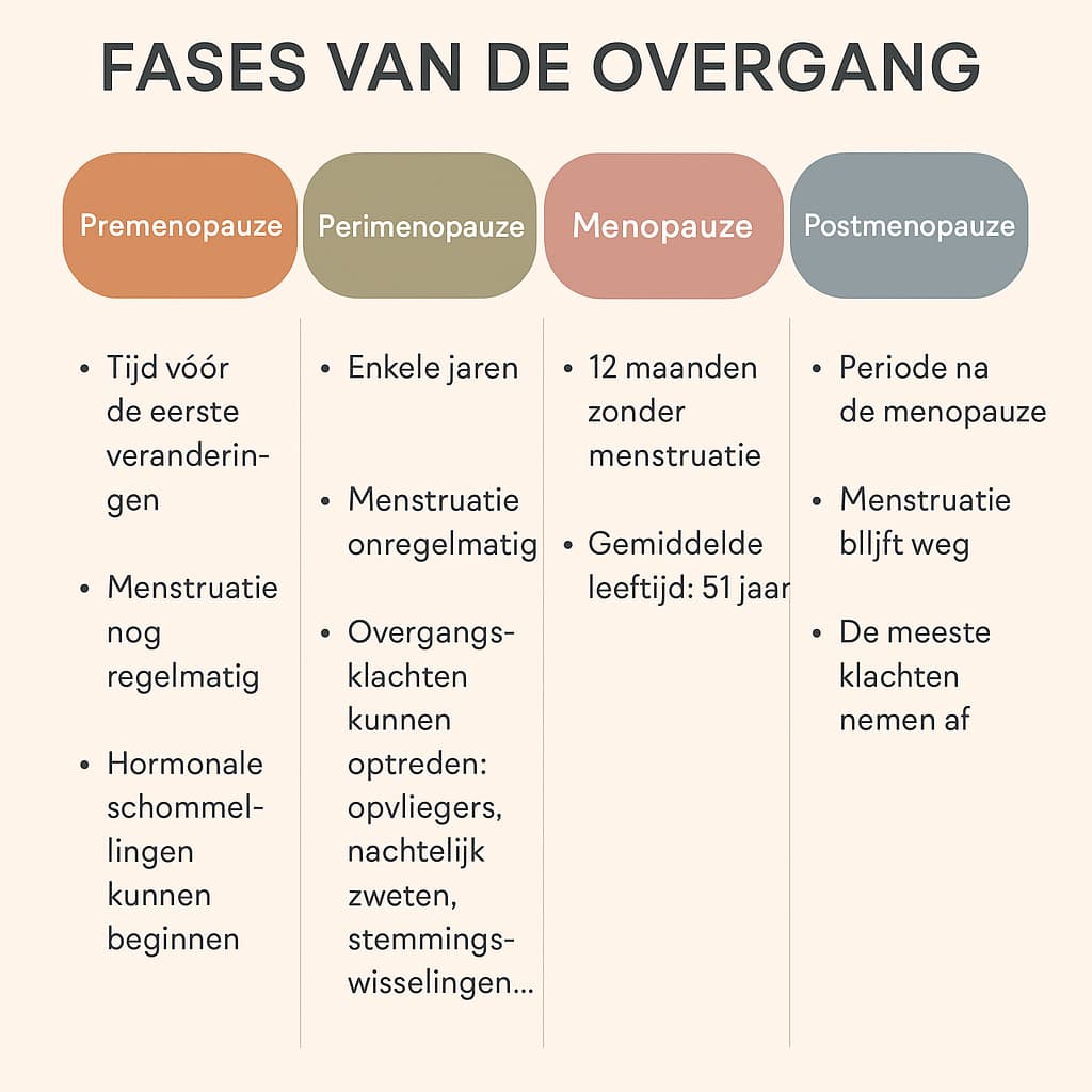 Overzicht van de vier fases van de overgang: premenopauze, perimenopauze, menopauze, postmenopauze, met kenmerken per fase 